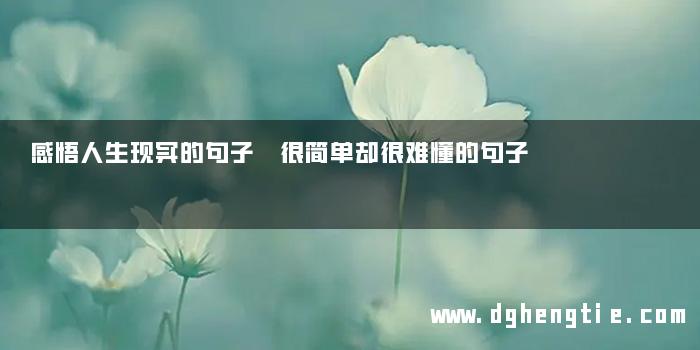 感悟人生现实的句子 很简单却很难懂的句子